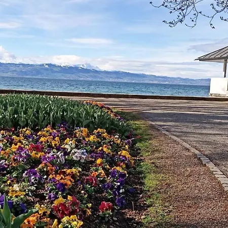 Bodensee Kressbronn 